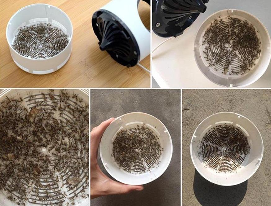 Zelara – Geräuschloser USB-Mückenfalle | Ohne Chemikalien, UV 365nm, Innen/Außen-Insektenabwehr