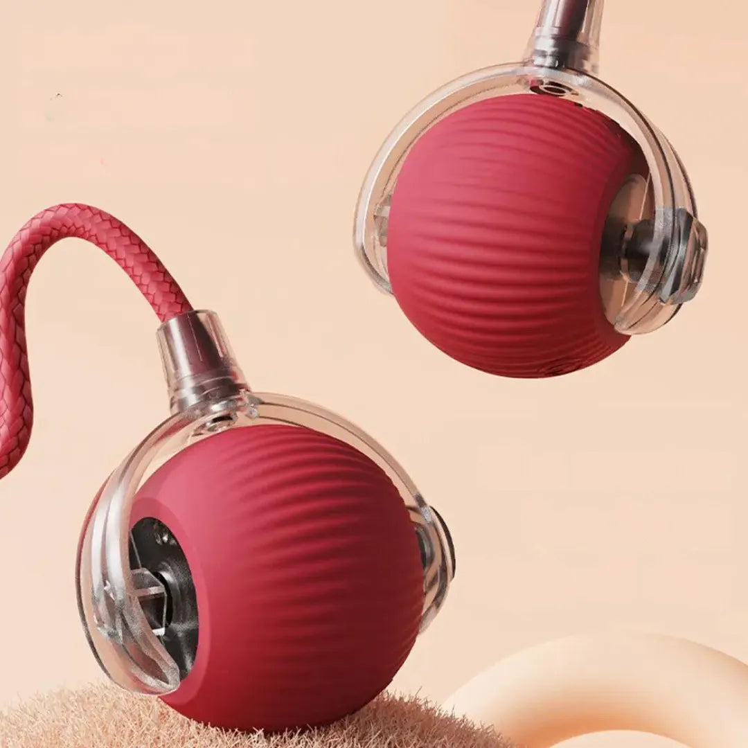 Interaktives Katzenspielzeug mit Bewegung | Für aktive, glückliche Stubentiger