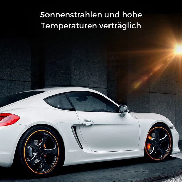 Zelara Optimale Lösung für den Felgenschutz