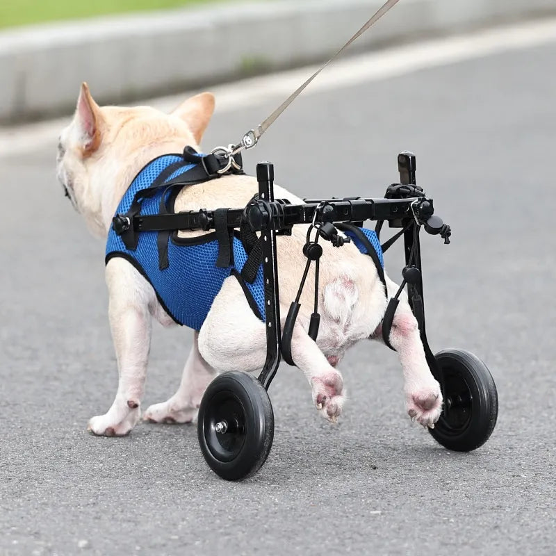 Rollstuhl für Tiere - Mobilitätshilfe für Hunde und Katzen