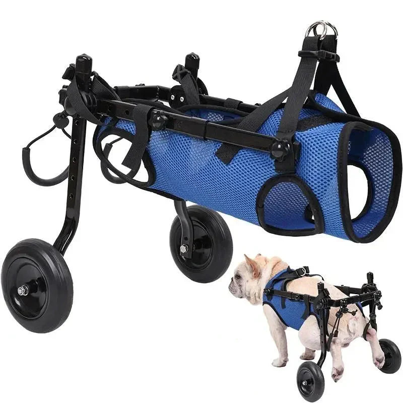 Rollstuhl für Tiere - Mobilitätshilfe für Hunde und Katzen
