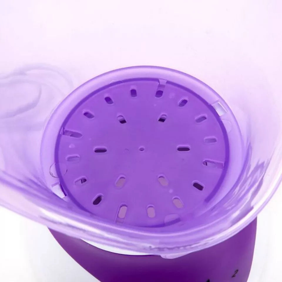 Tragbarer Gesichtsdampfer für das Home-Spa