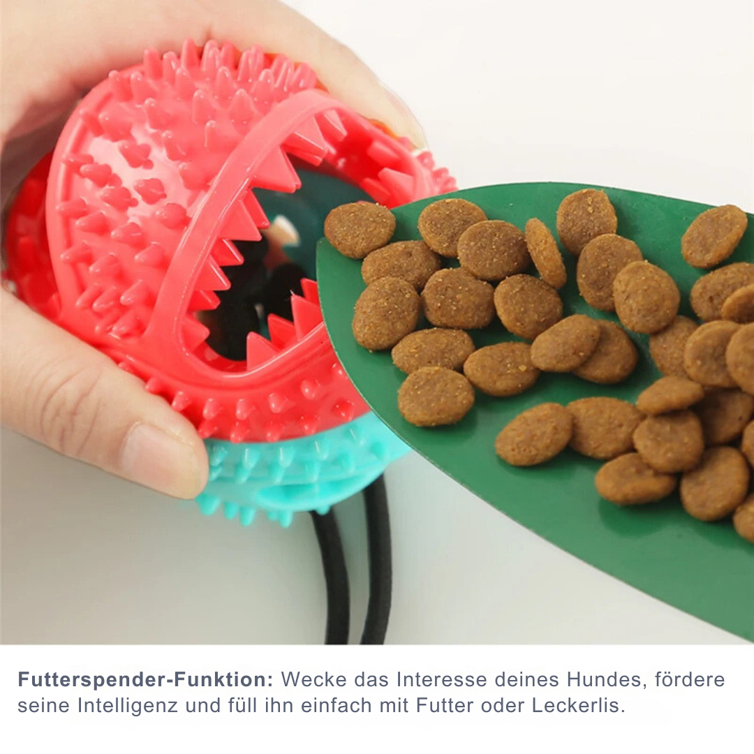 Saugnapf Hundespielzeug - Zahnpflege & Stressabbau für Hunde