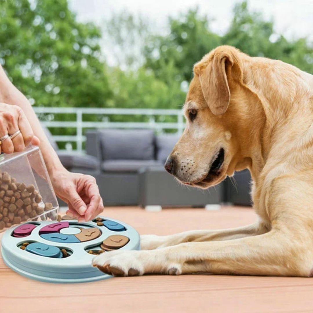 SmartPaws️ - Fordere deinen Hund mit unterhaltsamen Leckerlis heraus