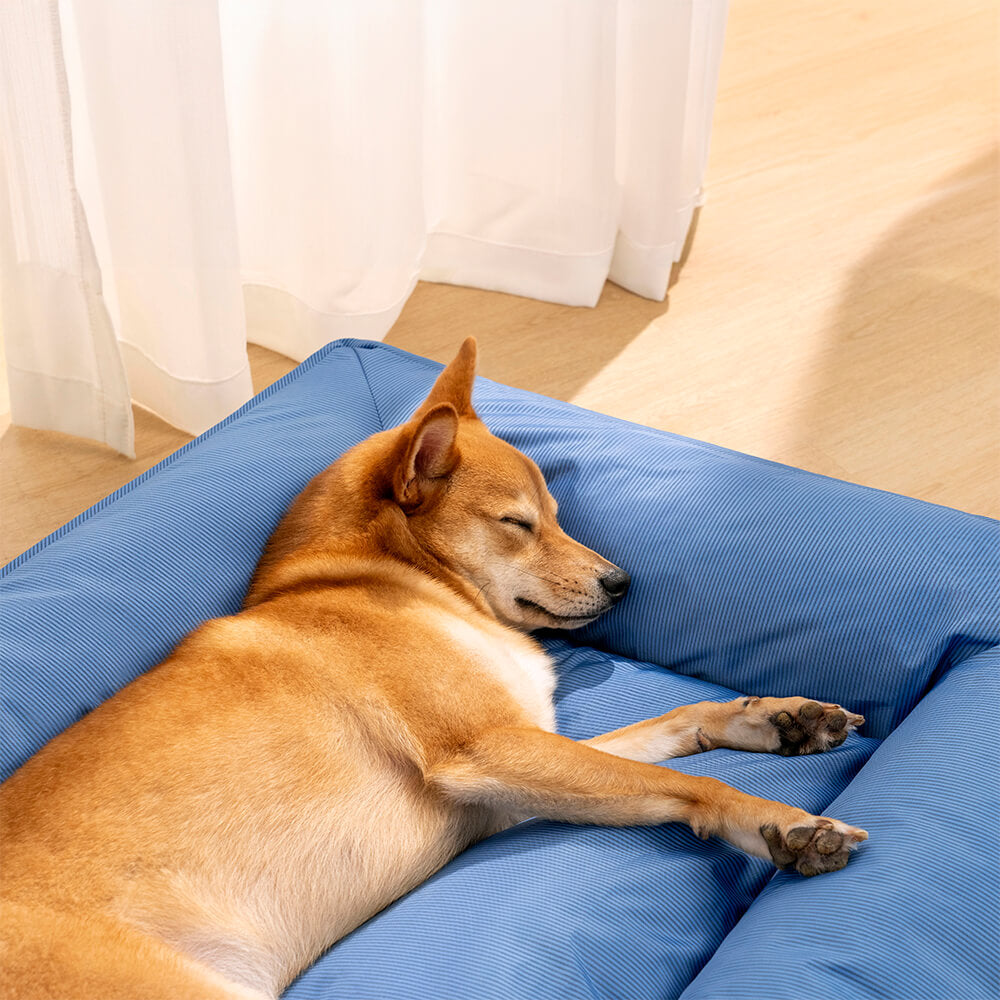 Wasserfestes Orthopädisches Hundebett - Komplettunterstützung Groß