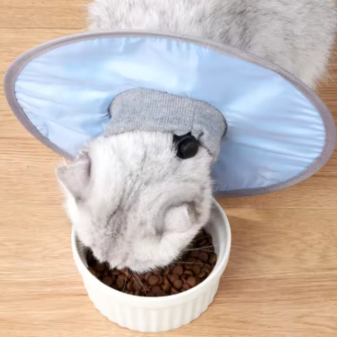 Weicher Haustier-Schutzkragen - Komfortable Heilung