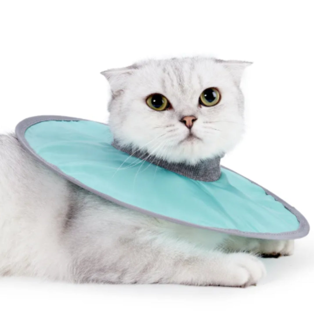 Weicher Haustier-Schutzkragen - Komfortable Heilung