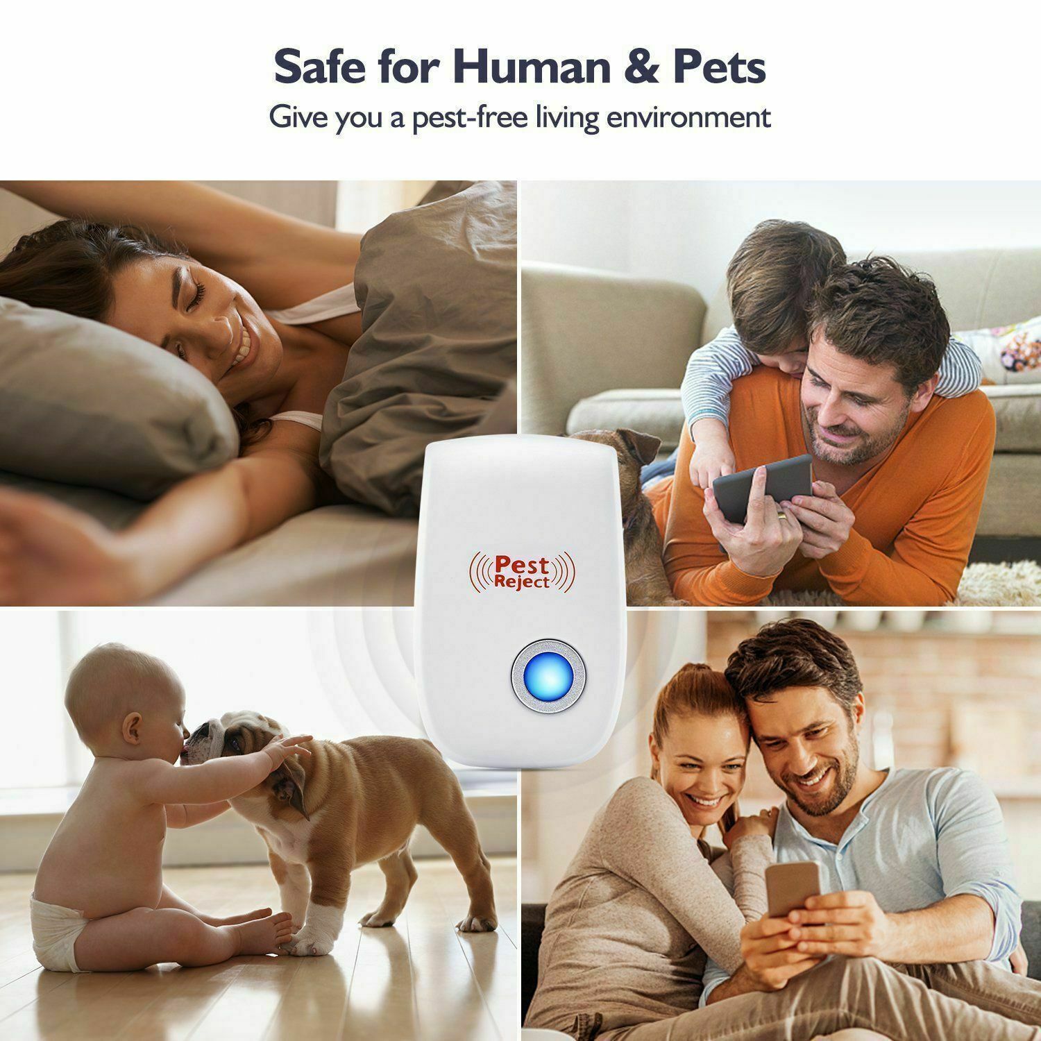 Ultraschall Eichhörnchenvertreiber - Befreien Sie sich innerhalb von 48 Stunden von Eichhörnchen oder es ist KOSTENLOS