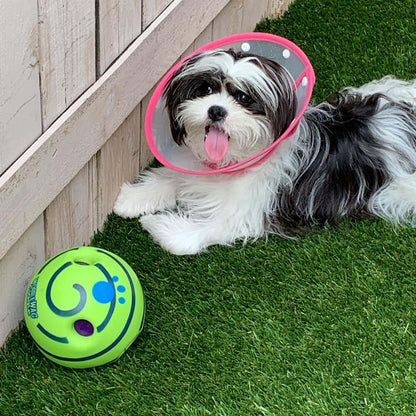 Interaktiver Hundespielball - GiggleSphere