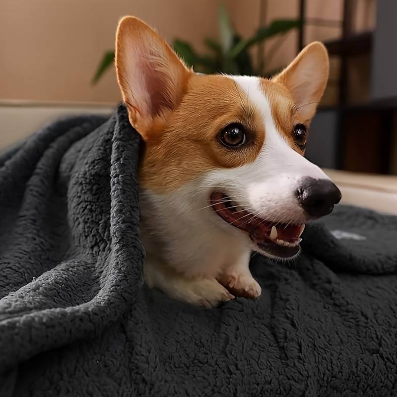Kuschelige Fleece-Welpendecke - Weich &amp; Warm