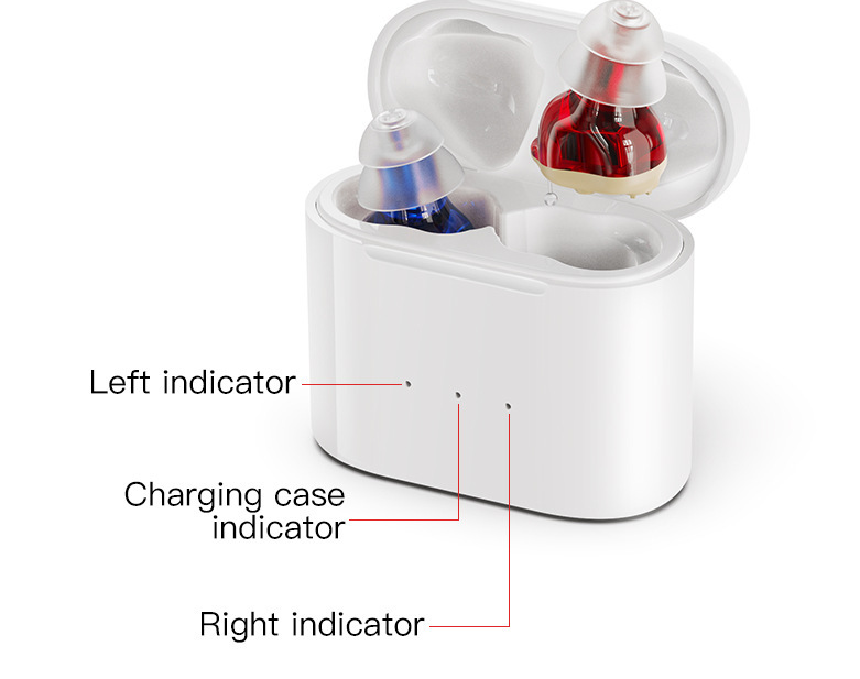 N°1 der Unsichtbaren Hörgeräte – V30 Wiederaufladbar und Diskret