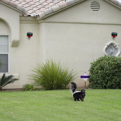 Solarbetriebene Bewegungsmelder-Stroboskoplampe mit 360° Sensor, 13 Sounds, IP65 Wasserdicht – Umweltfreundlicher Stinktier-Vertreiber für Haus &amp; Garten