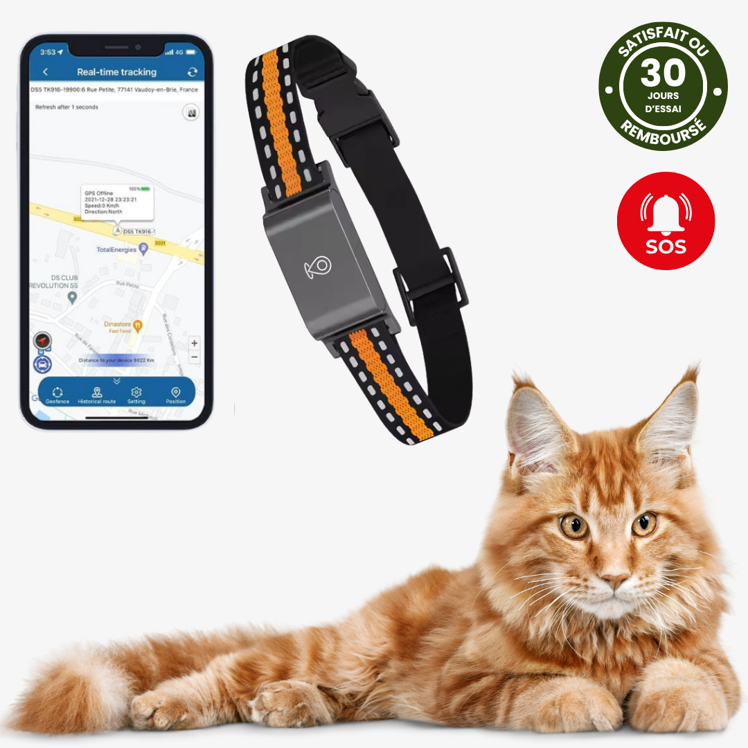 Zelara™ GPS-Halsband für Katzen – Unbegrenzte Reichweite, Keine Abonnementskosten