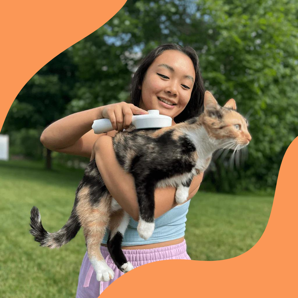 KITTINIS - LUXBRUSH (UV-Zeckenbürste) | 50% RABATT!