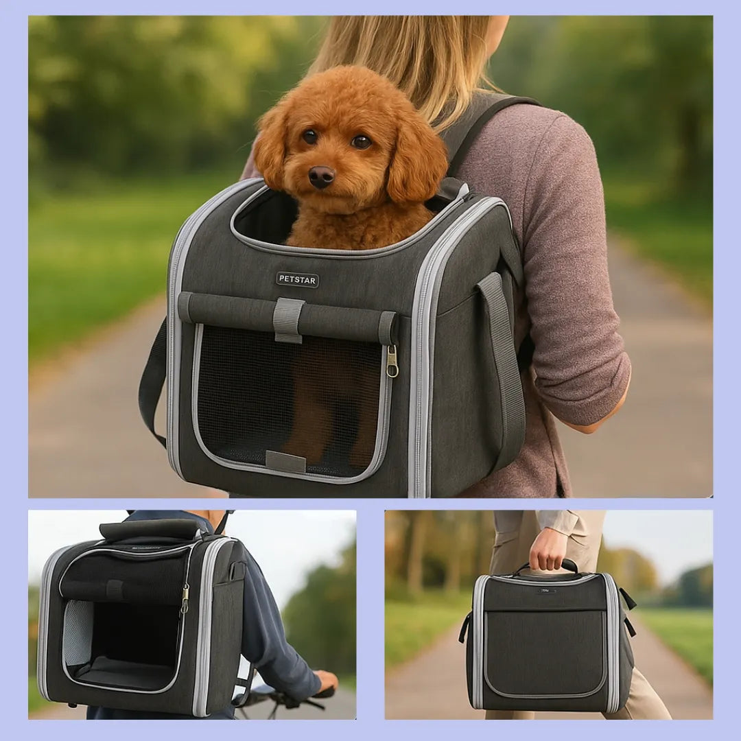 VeloPfote – Der sichere Fahrradkorb für entspannte Ausflüge mit deinem Hund