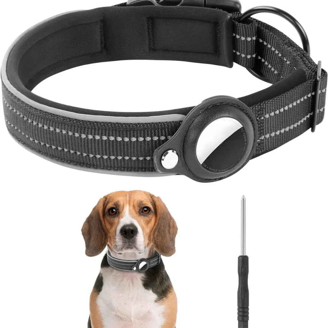 SafePaw – Das stilvolle AirTag Hundehalsband für maximale Sicherheit unterwegs