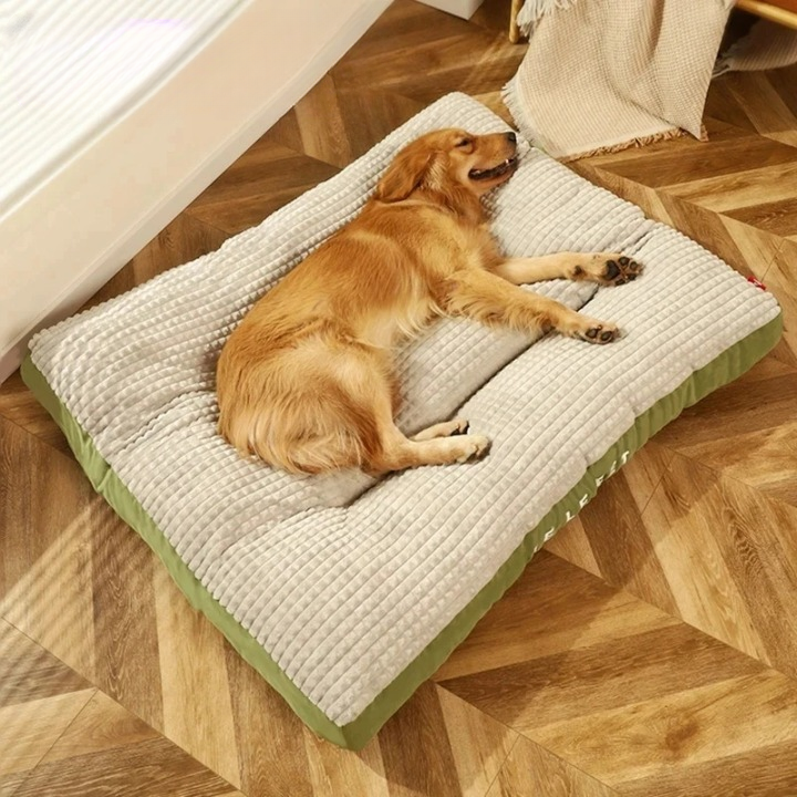 Zelara – Schmerzfreie, erholsame Nachtruhe für deinen geliebten Hund