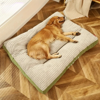 Zelara – Schmerzfreie, erholsame Nachtruhe für deinen geliebten Hund