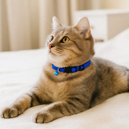 Katzenhalsband mit Sicherheitsverschluss &amp; Glöckchen | Verstellbar