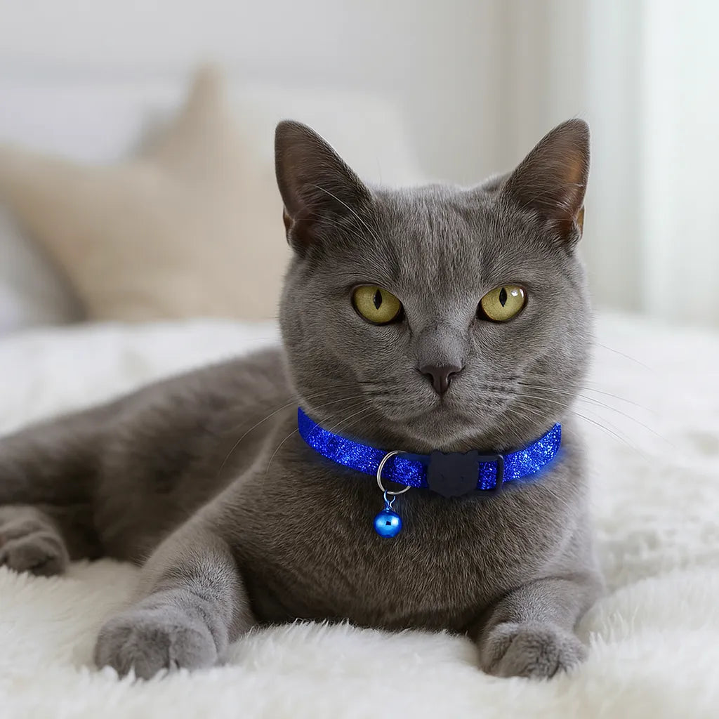 Katzenhalsband mit Sicherheitsverschluss &amp; Glöckchen | Verstellbar