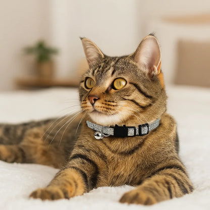 Katzenhalsband mit Sicherheitsverschluss &amp; Glöckchen | Verstellbar