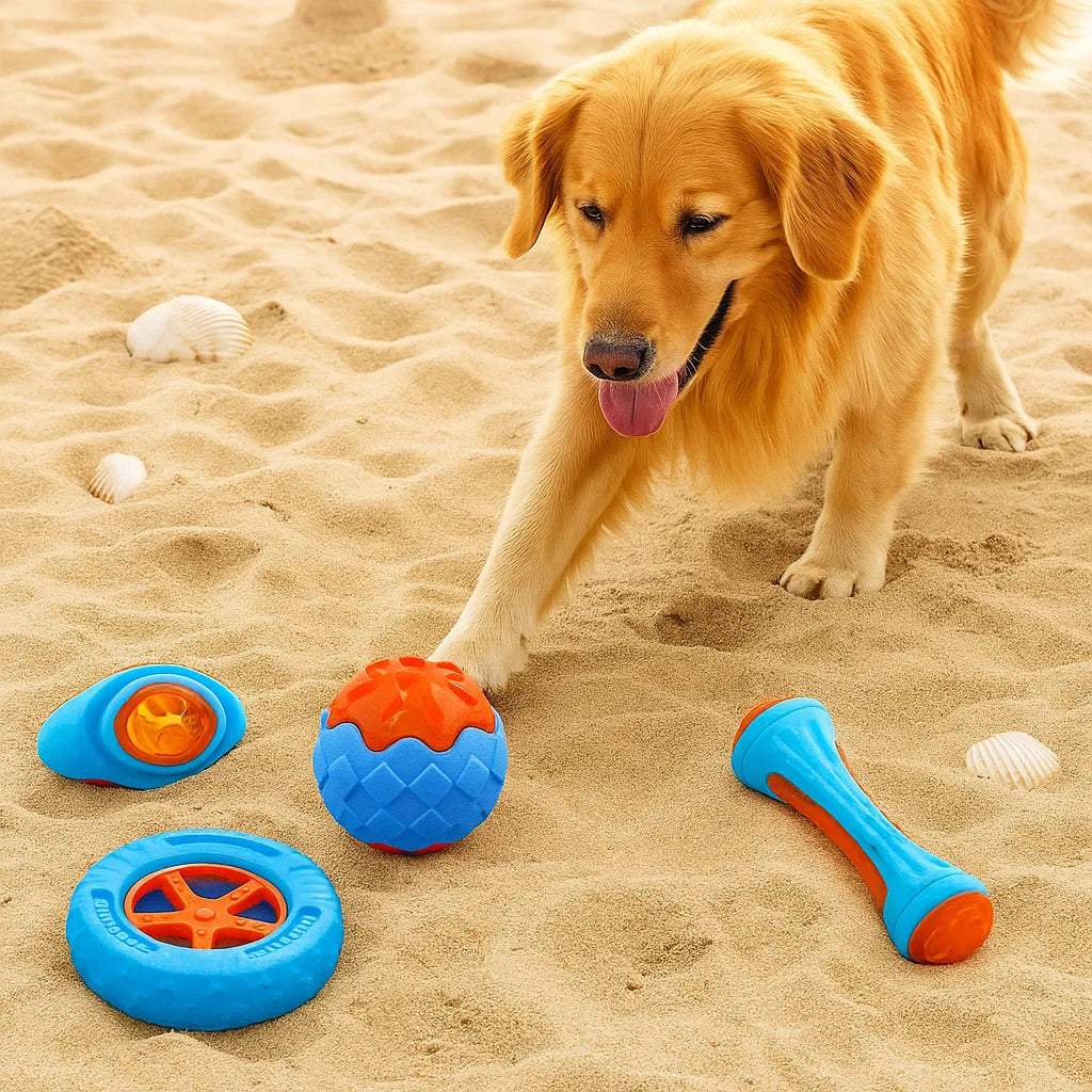 Hundespielzeug aus Naturgummi | Robust für starke Kauer &amp; Kauspiel