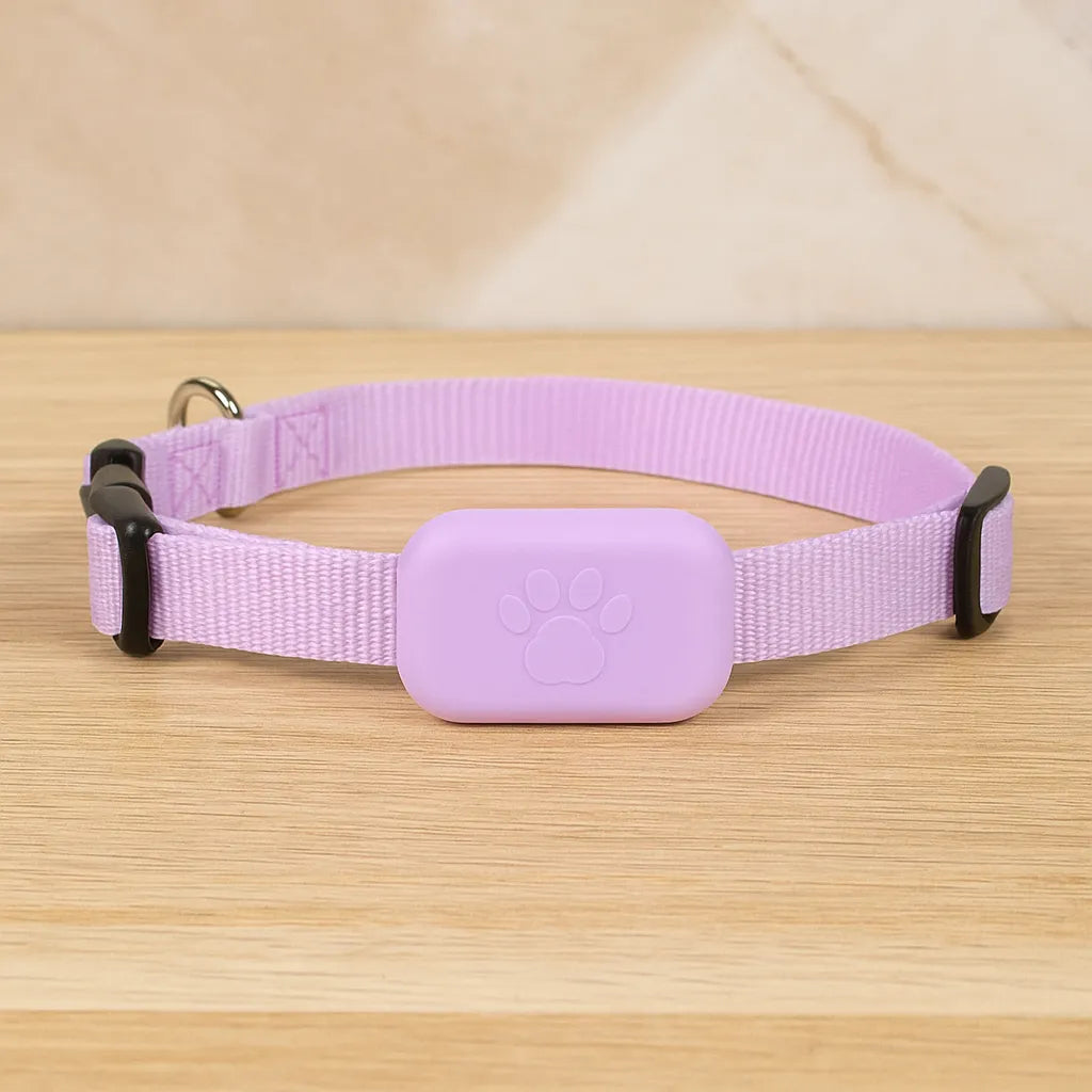 GPS-Tracker für Hunde &amp; Katzen mit Echtzeit-Ortung