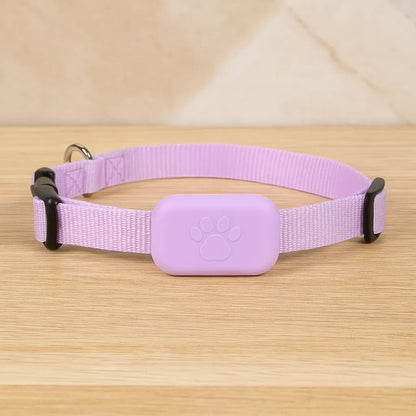 GPS-Tracker für Hunde &amp; Katzen mit Echtzeit-Ortung