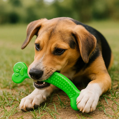 Extrem robuster Gummiknochen für Hunde – unzerstörbar &amp; zahnfreundlich