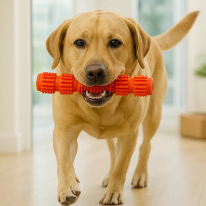 Snackbares Hundespielzeug aus Gummi | Befüllbar &amp; kaustark