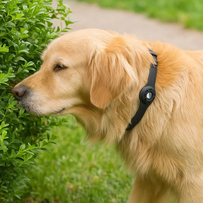 Halsband-Halterung für GPS-Tracker – Sicherheit &amp; Komfort für deinen Hund