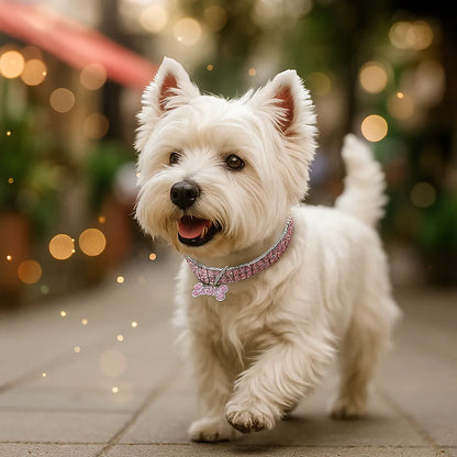 Glitzerndes Hundehalsband mit Anhänger – Elegantes Halsband für kleine &amp; mittelgroße Hunde