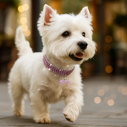 Glitzerndes Hundehalsband mit Anhänger – Elegantes Halsband für kleine &amp; mittelgroße Hunde