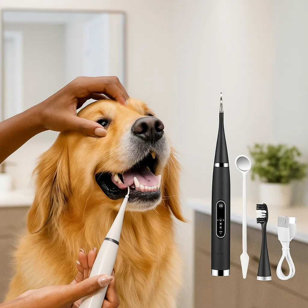 Zahnbürsten-Set für Hunde – Gegen Plaque &amp; Mundgeruch