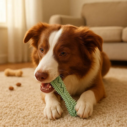 Zahnpflege-Kauspielzeug für Hunde | Robustes Spielzeug zum Kauen