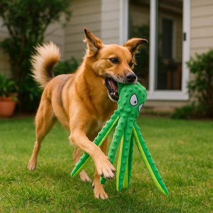 Hundespielzeug mit Knistereffekt &amp; Ziehfunktion – Für aktive Hunde mit Spieltrieb