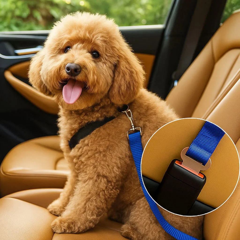 Autosicherheitsgurt für Hunde | Verstellbar &amp; sicher im Auto