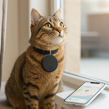Bluetooth Haustier-Tracker für Hunde &amp; Katzen | Ortung per App