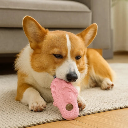 Kauspielzeug für Hunde im Flip-Flop Design | Robust &amp; bissfest