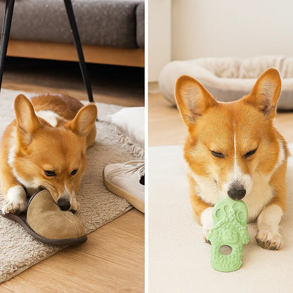 Kauspielzeug für Hunde im Flip-Flop Design | Robust &amp; bissfest