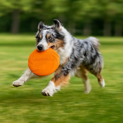 Hundefrisbee Gummi - Für Apportierspiel