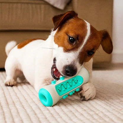 Hunde Kauspielzeug - Zahnreinigung Robust