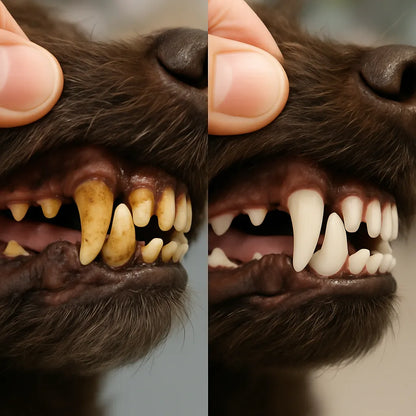 Hunde Kauspielzeug - Zahnreinigung Robust