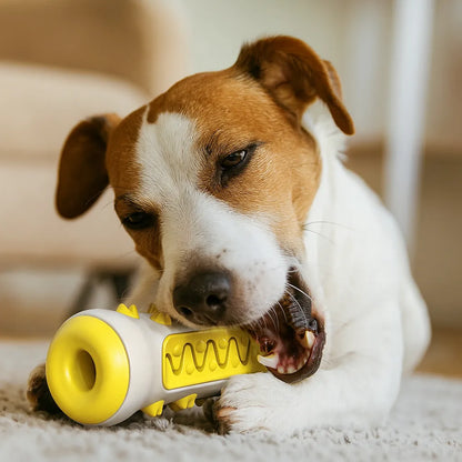 Hunde Kauspielzeug - Zahnreinigung Robust