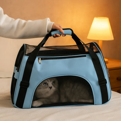 Reisetasche für kleine Hunde &amp; Katzen - Sicher &amp; Bequem