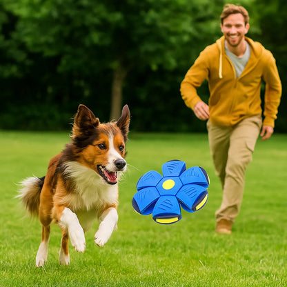 Hundespielzeug Frisbee &amp; Ball | 2-in-1 Apportierspiel für Hunde