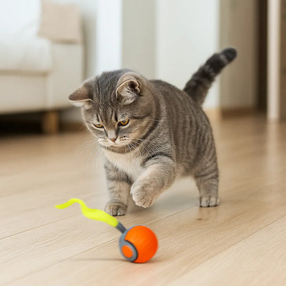 Elektrisches Katzenspielzeug | mit Akku &amp; Jagdbewegungen