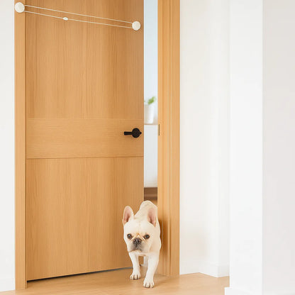 FreePass – Zugangslösung für Katzen &amp; kleine Hunde