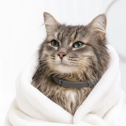 Beruhigungshalsband Hund &amp; Katze – Anti-Stress mit Lavendel &amp; Kamille