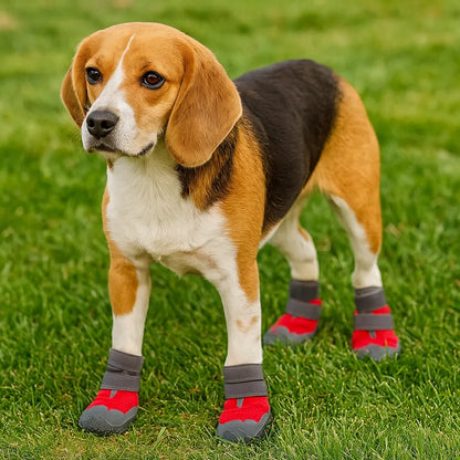 Hundeschuhe Wasserdicht &amp; Rutschfest – Pfotenschutz mit Reflektoren